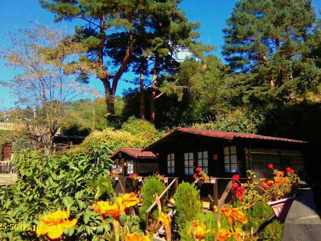 Parque de vacaciones La